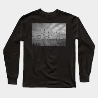 Norfolk reed bed Long Sleeve T-Shirt